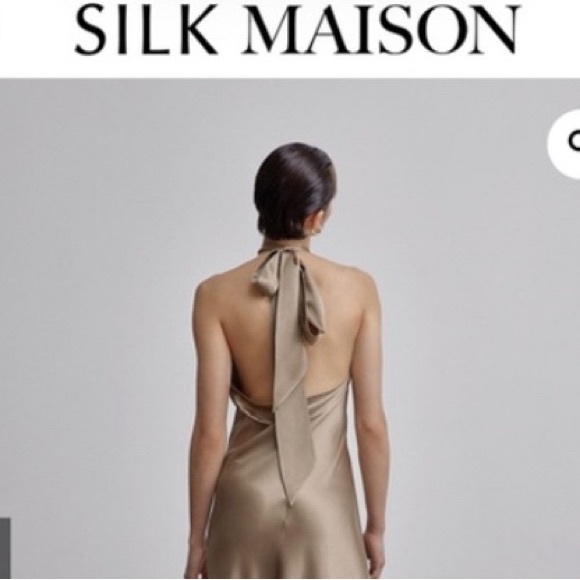 Silk Maison Dress - Picture 3 of 5